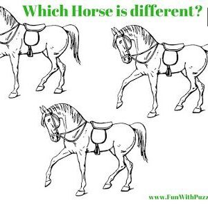 Spot The Difference Puzzle #14