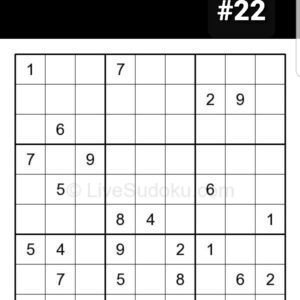 SUDOKU puzzle #22