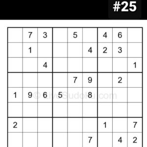 SUDOKU puzzle #25