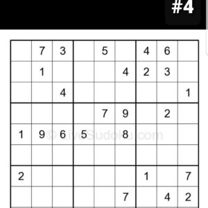 SUDOKU Puzzle #4