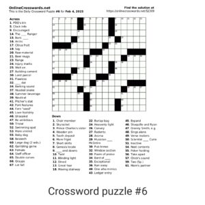 Crossword Puzzle #6